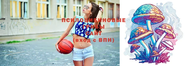 молекула духа Михайловск
