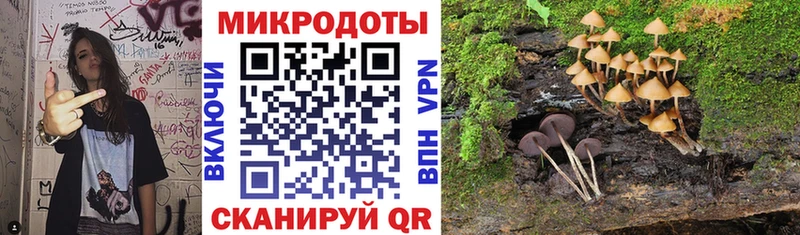 МЕГА ТОР  где найти   Краснокамск  Псилоцибиновые грибы MAGIC MUSHROOMS 
