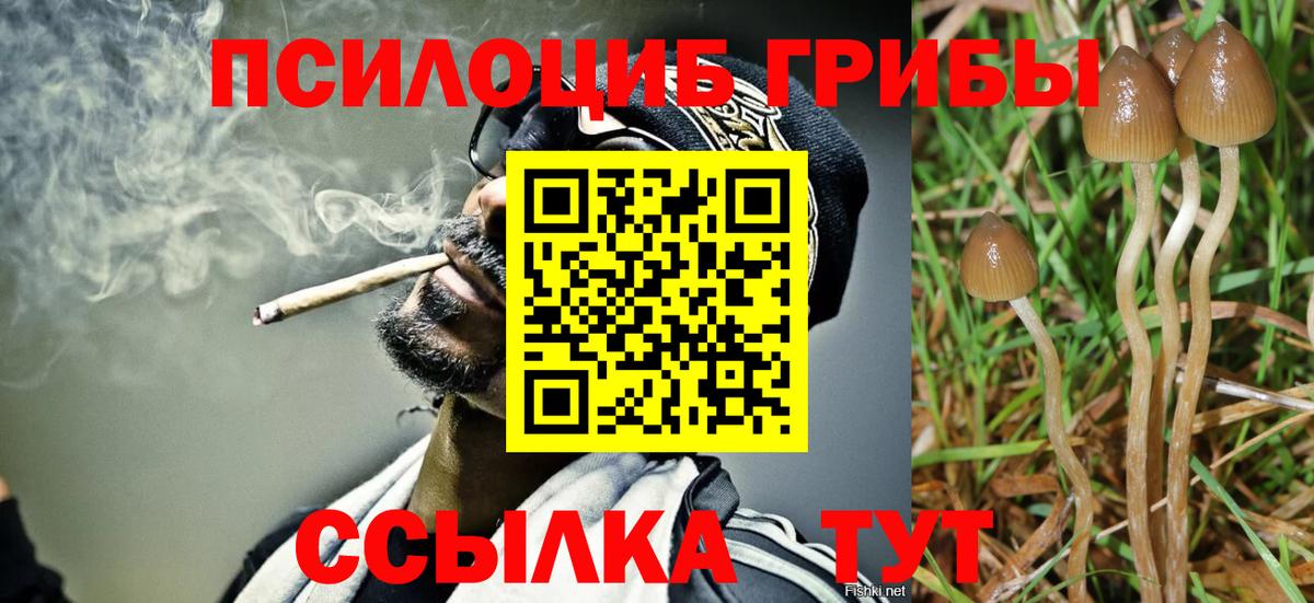Псилоцибиновые грибы MAGIC MUSHROOMS Краснокамск