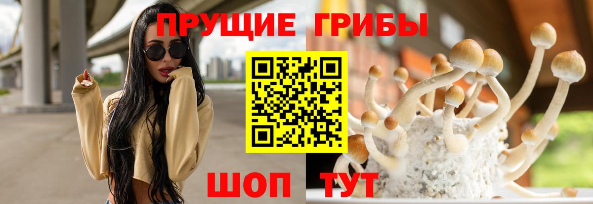 Краснокамск  Галлюциногенные грибы MAGIC MUSHROOMS  Вход с VPN  дарнет шоп  Галлюциногенные грибы Cubensis 