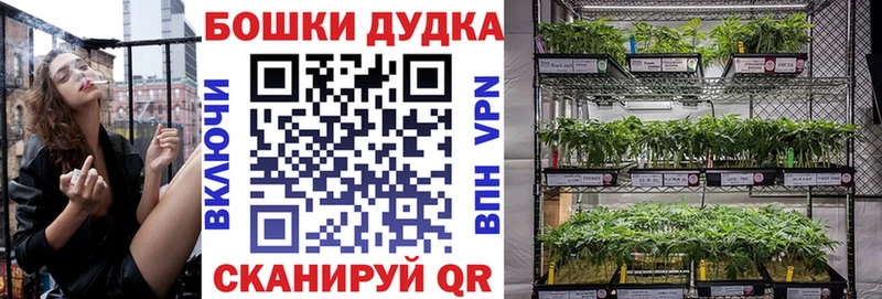 ОМГ ОМГ зеркало  Краснокамск  Конопля сатива 